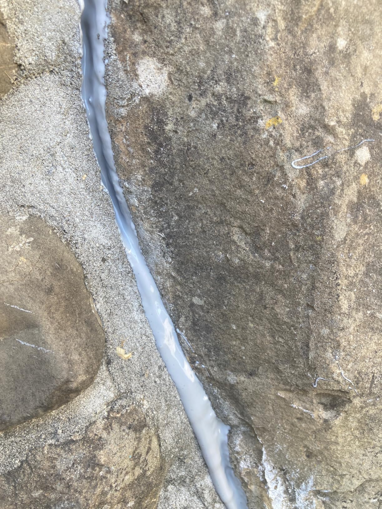 All-Surface Waterproof Crack Filler – Quick-Drying, Self-Leveling for Walls, Roofs, Floors, and Outdoor Tiles