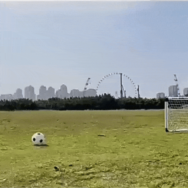 Foldable Kids Soccer Goal Set with Ball & Ground Stakes – Easy-to-Assemble Football Gate for Backyard Fun, Park Games & Training