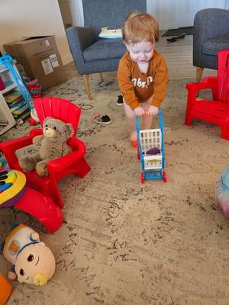 Kids Easy to Assemble Shopping Cart with Groceries, POS Machine, Plastic Money, Credit Cards and Shopping Cards