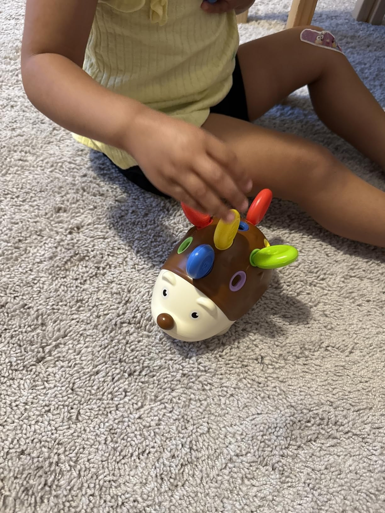 Montessori Hedgehog Learning Toy with Focus and Concentration training, Durable ABS material, Safe for Month 18+