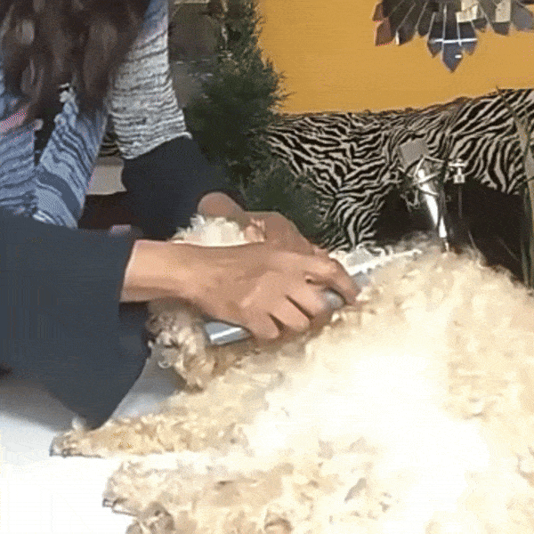 Pet Dematting Comb and Grooming Brush, Removes Knots, Mats & Tangles, Battery-Powered