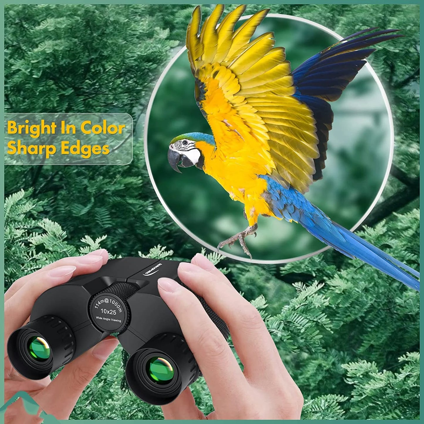 Waterproof High-Power Night-Vision Binoculars for Adults and Kids with 10×25 Magnification, Carrying Strap, Storage Pouch