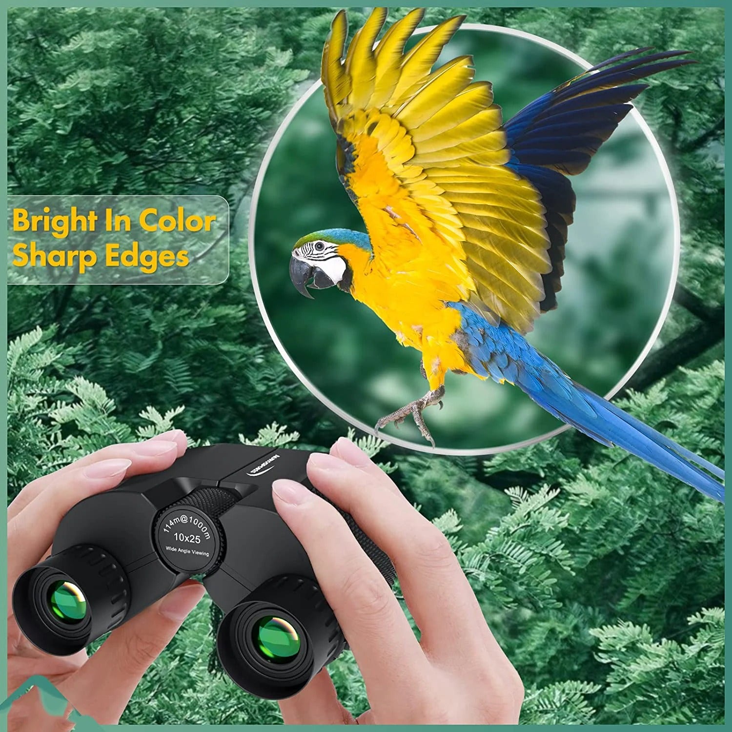 Waterproof High-Power Night-Vision Binoculars for Adults and Kids with 10×25 Magnification, Carrying Strap, Storage Pouch